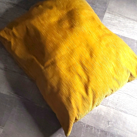 Other - Gold decorative Pillow